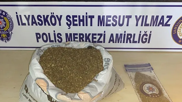 Samsun'da 1 kilo 172 gram bonzai ele geçti: 1 gözaltı