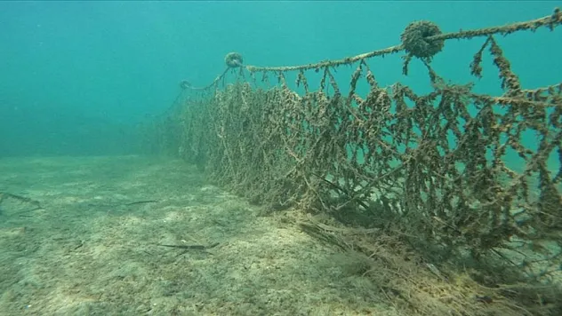 Hayalet ağların endemik deniz canlılarına verdiği zarar akademik çalışmayla ortaya çıktı