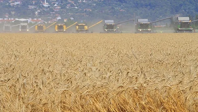Türkiye'de 5 yılda devlet destekli tarım sigortalarında en fazla ödeme 'dolu' hasarlarına yapıldı