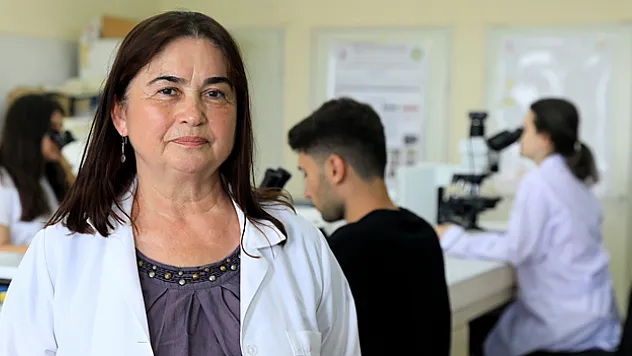 Örümceğimsigillerden 'sarıkız' türünün tehlikeli bir tür olmadığı bildirildi