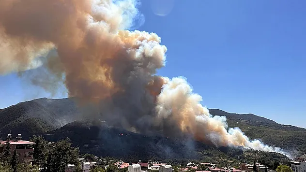 Hatay'da orman yangını