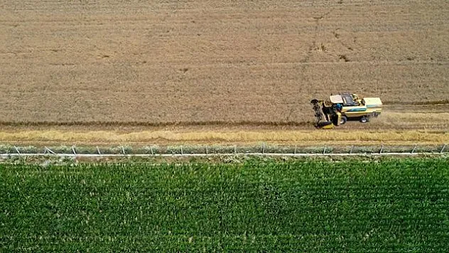 Tarım sektöründen ihracatta ilk yarı rekoru