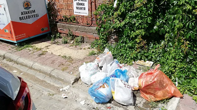 Atakum Belediyesi'nden 'çöp konteyneri' tepkisi: 'Halk sağlığı riski oluşturuyor'