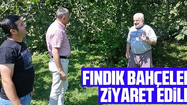 Salıpazarı ilçesinde örnek fındık bahçeleri ziyaret edildi