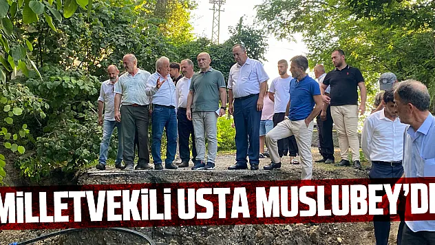 Milletvekili Usta, Muslubey'de