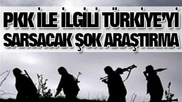 'PKK'ya alternatif bir terör örgütü kuruldu'
