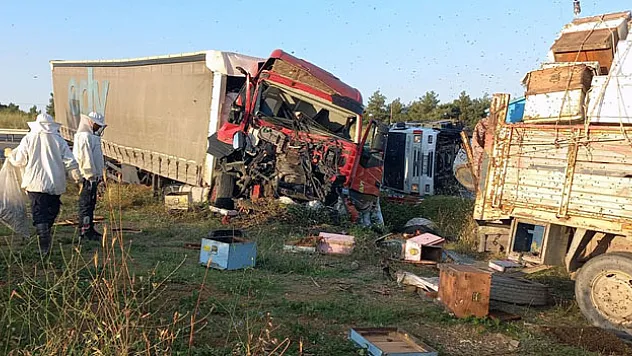 Edirne'de, Muğlalı arıcılara tır çarptı: 4 ölü, 1 yaralı