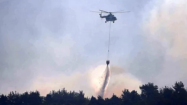 Tarım ve Orman Bakanı Yumaklı: 10 günde, 40 ilimizde 203 orman yangını meydana geldi
