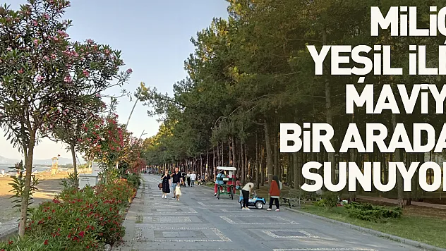 Samsun'daki Miliç Plajı ziyaretçilerine yeşil ile maviyi bir arada sunuyor