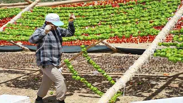 Yılın ilk kurutmalıkları güneşe bırakıldı