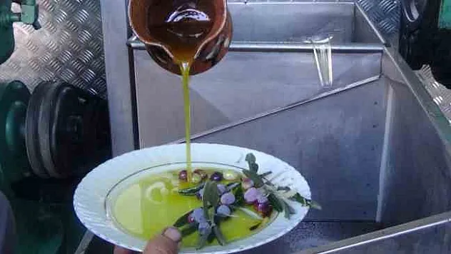 Edremit zeytinyağı Avrupa Birliği'nden coğrafi işaret tescilini aldı