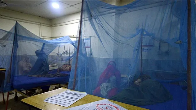 DSÖ: Dang humması vakalarında 2000-2022 döneminde 8 kat artış yaşandı