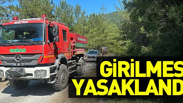 Bafra'da ormanlık alanlara girilmesi yasaklandı