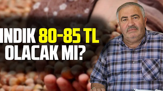 Fındık 80-85 TL olacak mı?