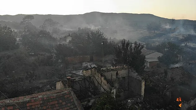 Manisa'daki orman yangınında 14 ev ve 3 ahır kül oldu