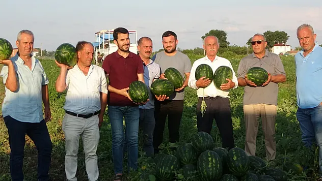 Bafra karpuzu raflara yerini almaya başladı