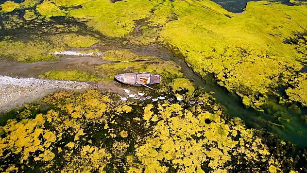Seyhan Nehri can çekişiyor: Yosunlar nehri istila etti, otlar insan boyuna yaklaştı