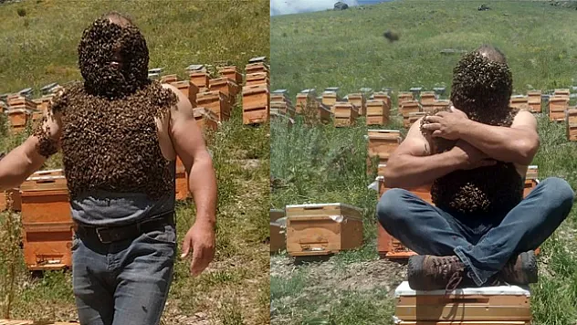 Karslı arıcıdan 'yok artık' dedirten görüntüler