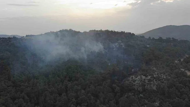 Çanakkale'deki orman yangınına günün ilk ışıklarıyla hava müdahalesi başladı