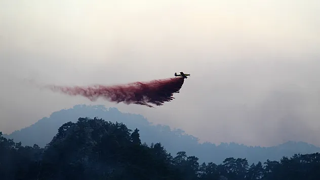 3 gündür yangını izleyen vatandaş: 'Adamlar denizi dağa taşıdı'