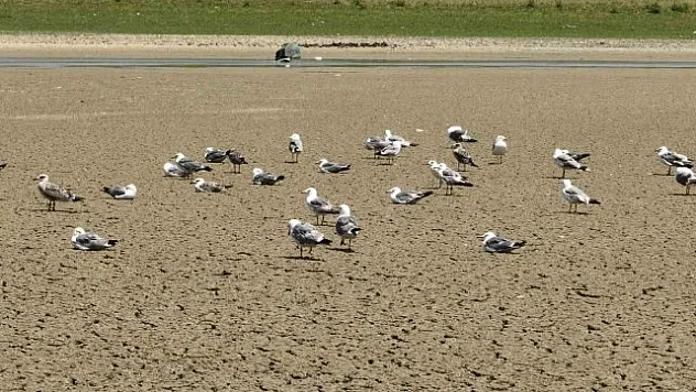 Sıcak havanın etkisini sürdürdüğü İstanbul'daki barajlarda son durum