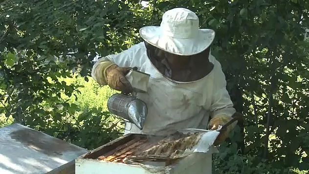 Bal üretiminde dünyada ikinci sıradayız