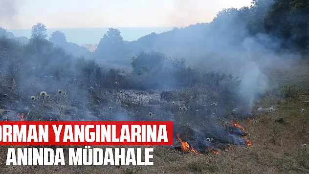 Orman yangınlarına anında müdahale