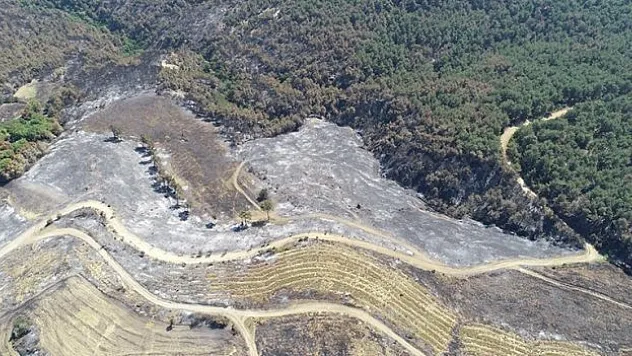 Çanakkale'deki orman yangınında 2 bin 500 hektar alanın zarar gördüğü belirlendi