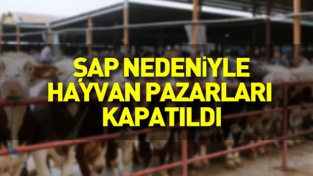Samsun'da şap nedeniyle hayvan pazarları kapatıldı