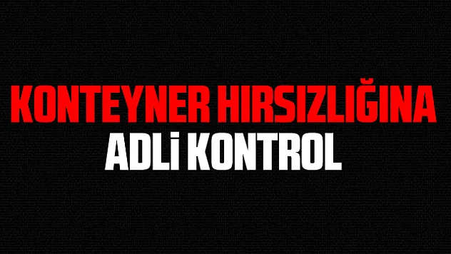 Konteyner hırsızlığına adli kontrol