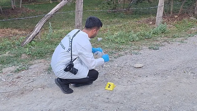 Samsun'da fındık bahçesindeki 5 kişinin yaralandığı kavgaya ilişkin 2 zanlı tutuklandı