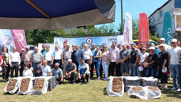 Samsun'da çilek üreticisine 750 bin fide desteği
