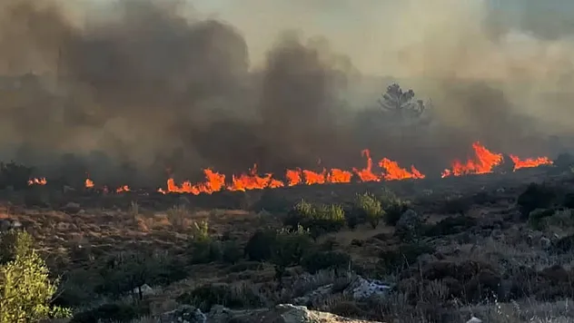 Bodrum'da Türkbükü yangını geniş alana yayıldı