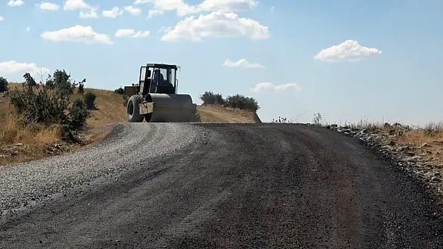 Muş'ta boşalan köyler yeniden doluyor