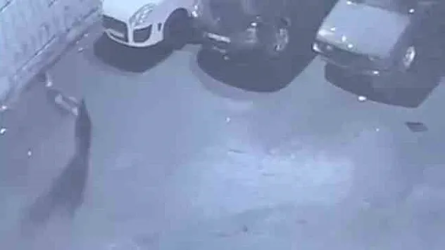 Sultangazi'de sanayi sitesindeki 75 kiloluk mazgalı böyle çaldı