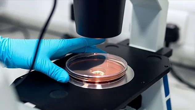 Yeni keşfedilen bakteri sıtmanın insanlara bulaşmasını engelleyebilir