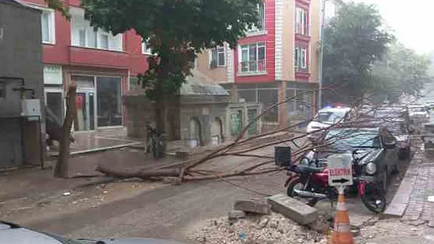Sağanak yağış yolları göle çevirdi, ağaçları devirdi