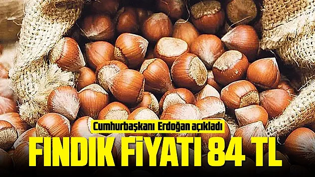 Fındık fiyatı 84 TL