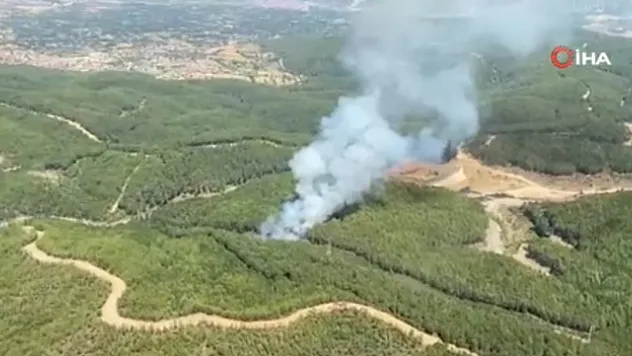 Muğla'da orman yangını