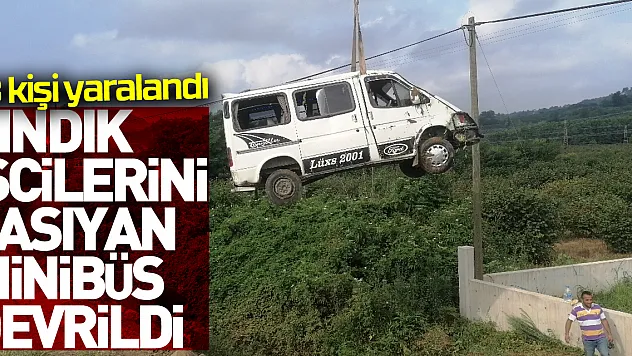 Samsun'da fındık işçilerini taşıyan minibüs şarampole devrildi 13 kişi yaralandı