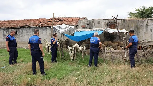 Samsun'da uyarı yapılan 12 ahırın faaliyetine son