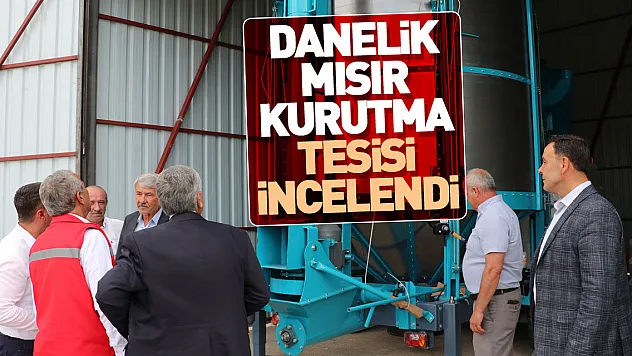 Havza'da kurulan danelik mısır kurutma tesisi incelendi