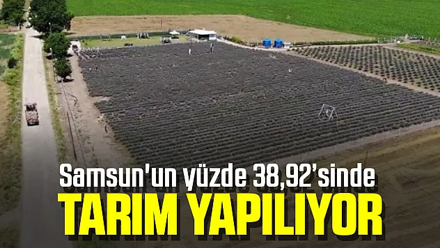 Samsun'un yüzde 38,92'sinde tarım yapılıyor