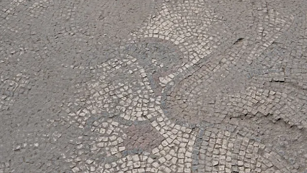 Tarlada heyecanlandıran keşif: Kazı çalışmaları başladı