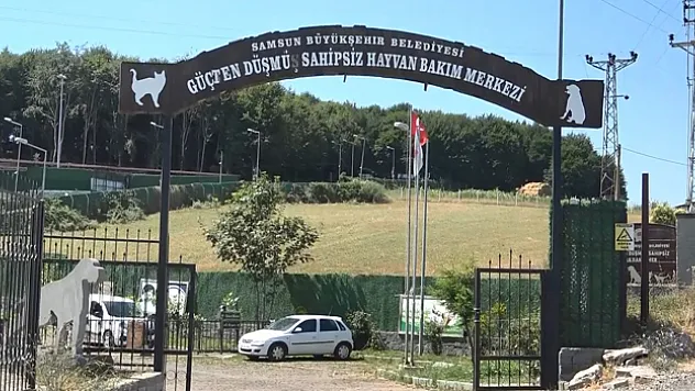 Bu merkezde 20 bin sokak hayvanı kısırlaştırıldı