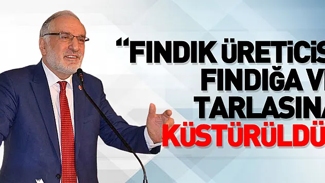 'Fındık üreticisi fındığa ve tarlasına küstürüldü'