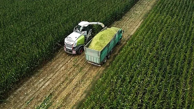 Tarım ÜFE temmuzda aylık bazda yüzde 8,03, yıllık yüzde 62,48 arttı