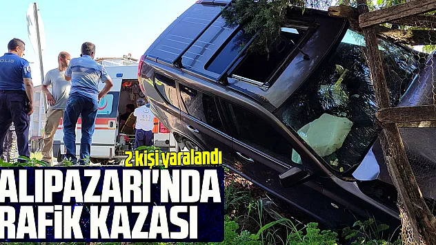 Samsun'da trafik kazasında 2 kişi yaralandı