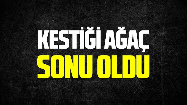 Kesilen ağacın altında kalan kadın hayatını kaybetti