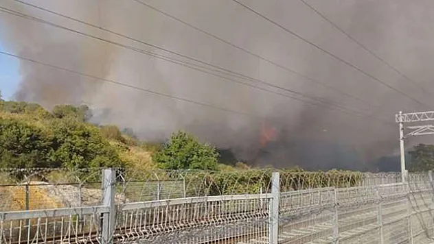 TÜBİTAK'ın ormanlık alanında yangın